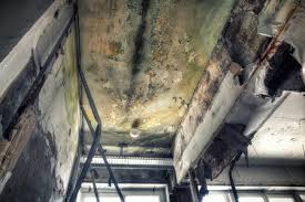 Best Residential Mold Inspection & Testing in Centre, AL